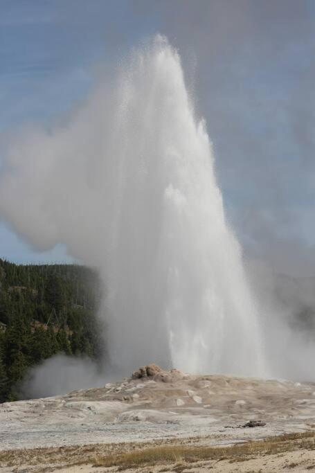 Bison Lodge - Lg Home - 2 Bedrooms - Less Than 5 Miles To Yellowstone North Entrance, Sleeps Up To 8 Гардинър Екстериор снимка